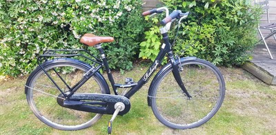raleigh elegance ladies bike